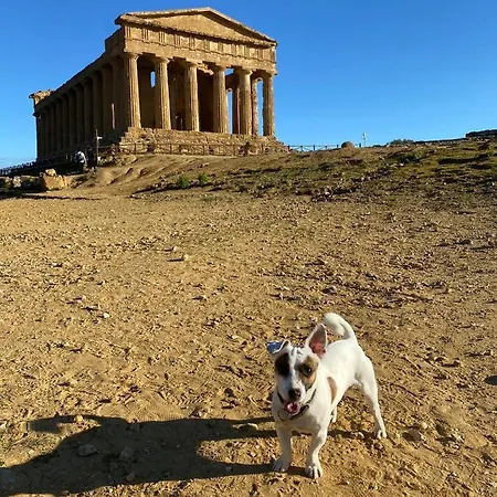 Gæstehus Akragaroom Agrigento