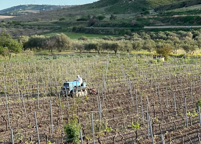 Gæstehus Akragaroom Agrigento