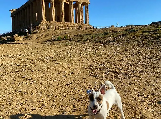 Pensjonat Akragaroom Agrigento